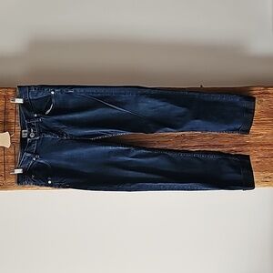EUC Hudson Bacara Straight Cuff Jean, 31 color PBEA